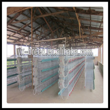 Best Selling Broiler Brooding Cages